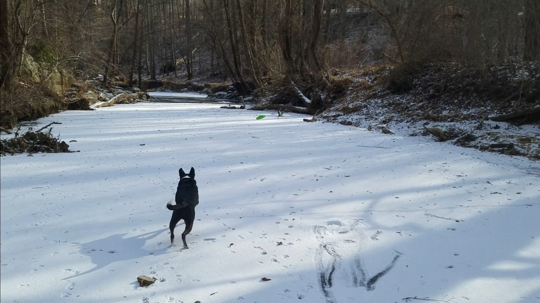Fetching on Frozen River